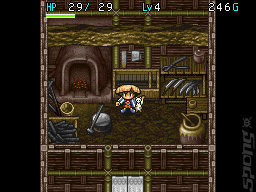Mystery Dungeon: Shiren the Wanderer - DS/DSi Screen