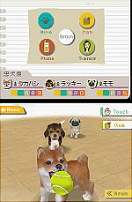 Related Images: Nintendogs Explained - Barking Mad or Man's Best Friend? News image