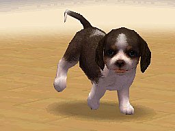 Nintendogs - DS/DSi Screen