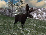 North American Hunting Extravaganza - Wii Screen