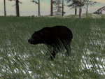 North American Hunting Extravaganza - Wii Screen