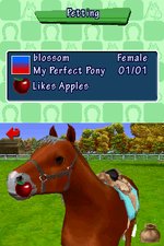 Pony Friends - DS/DSi Screen