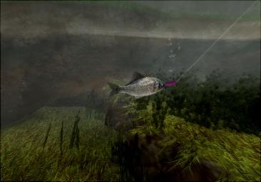 Reel Fishing III - PS2 Screen