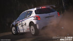 Sébastien Loeb Rally Evo - PS4 Screen
