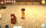 Story of Seasons: Trio of Towns - 3DS/2DS Screen