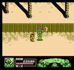 Teenage Mutant Ninja Turtles 3: The Manhattan Project - NES Screen