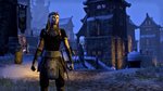 Latest Elder Scrolls Online Screens Go Public News image