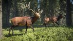 theHunter: Call of the Wild - PS4 Screen