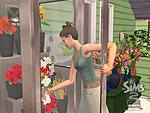 New Sims 2 Open For Business Screens News image