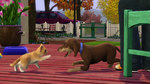 The Sims 3: Pets - Xbox 360 Screen