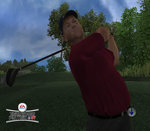 Tiger Woods PGA Tour 07 - Wii Screen