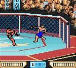 Ultimate Fighting Championship - Game Boy Color Screen