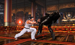 Related Images: Virtua Fighter 5 Website Launches News image