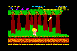 Wonderboy - C64 Screen