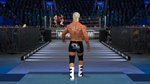 WWE Smackdown vs Raw 2011 - PSP Screen