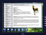 Zoo Vet - PC Screen