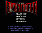 Blackthorne - SNES Screen