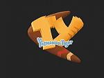 Ty: The Tasmanian Tiger - Xbox Screen